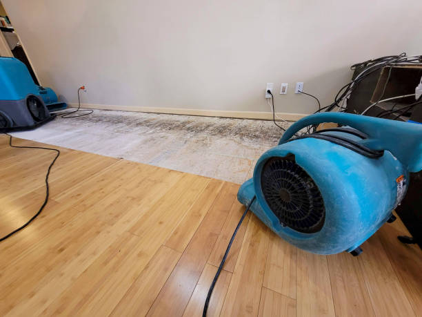 Professional Basement Flood Cleanup technician working in Superior, WI